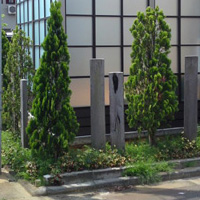 平成２１年 燕市Ｍ様邸